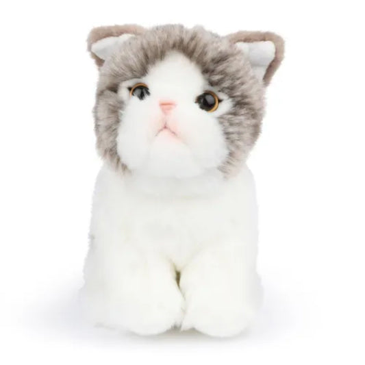 BT CHAPS - Peluche Amélie le Scottisch Fold (17 cm) - BON TON TOYS