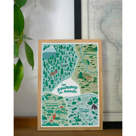 Affiche « Les Grandes Forêts » - Papier curieux