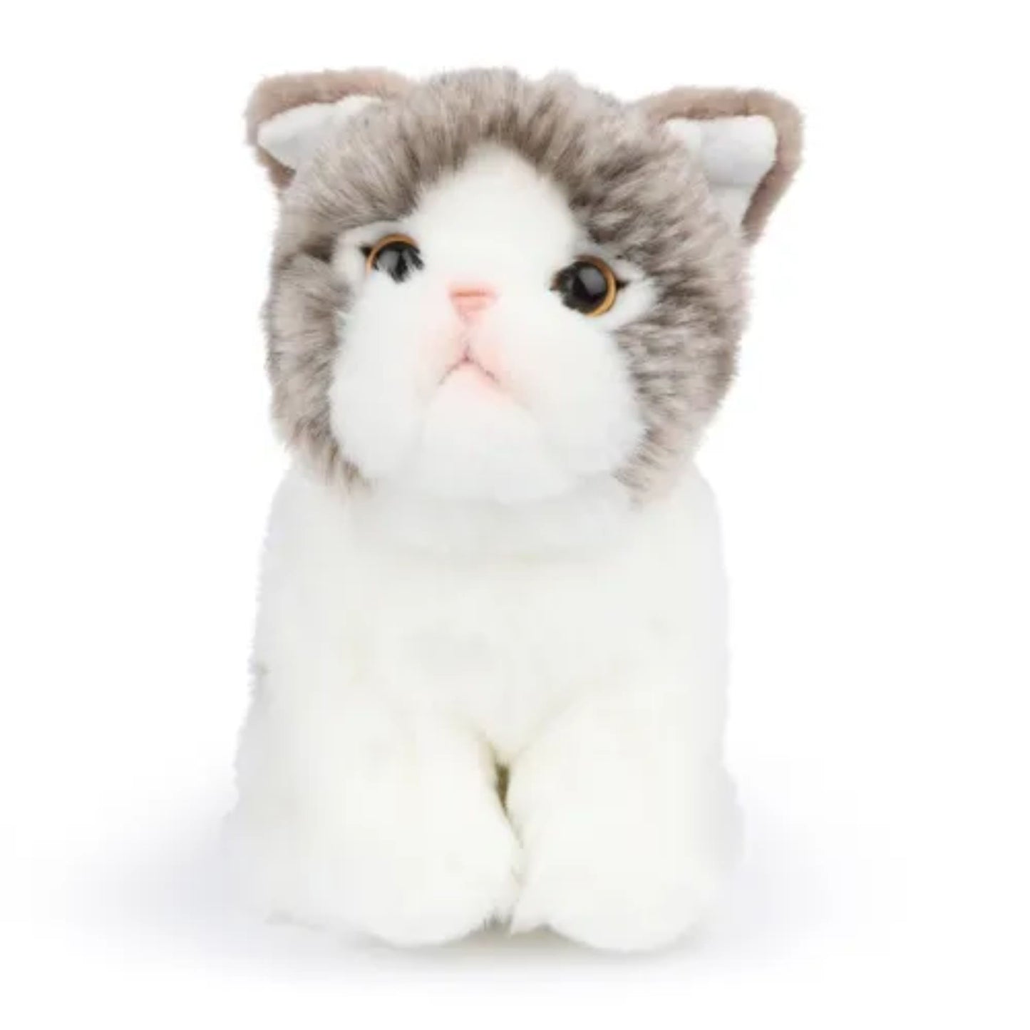BT CHAPS - Peluche Amélie le Scottisch Fold (17 cm) - BON TON TOYS