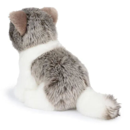 BT CHAPS - Peluche Amélie le Scottisch Fold (17 cm) - BON TON TOYS